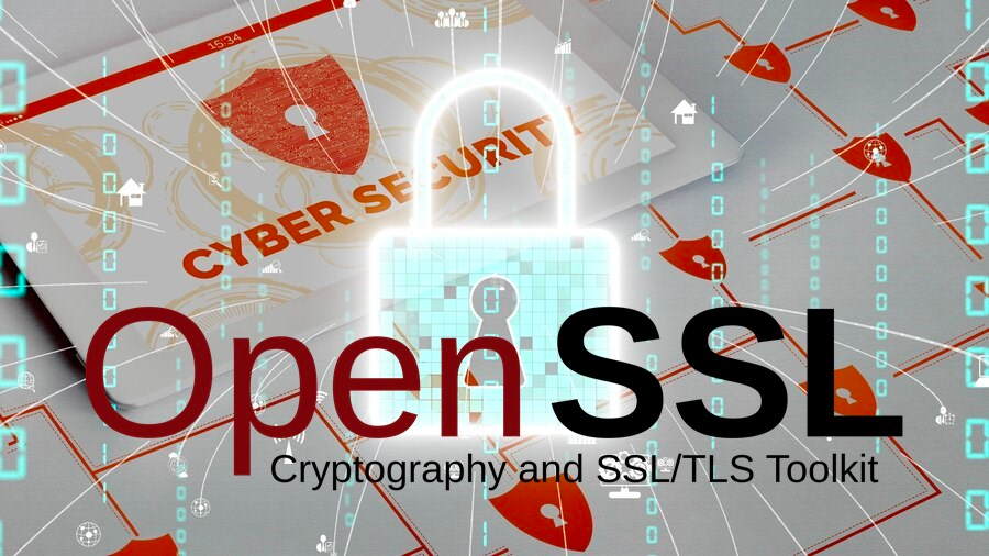 Critical and Time Sensitive OpenSSL Vulnerability The Race Between